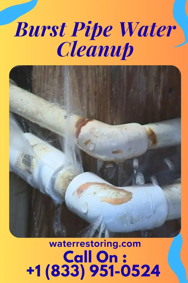 Burst Pipe Water Cleanup in Belleville, IL