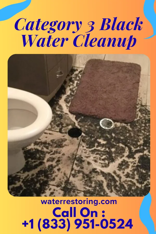 Category 3 Black Water Cleanup in Belleville, IL