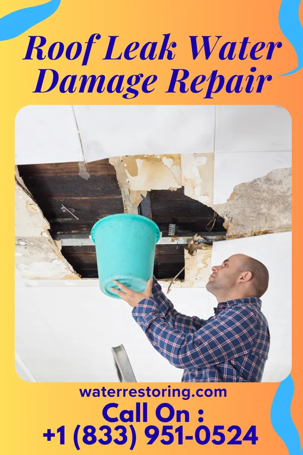 Roof Leak Water Damage Repair in Belleville, IL