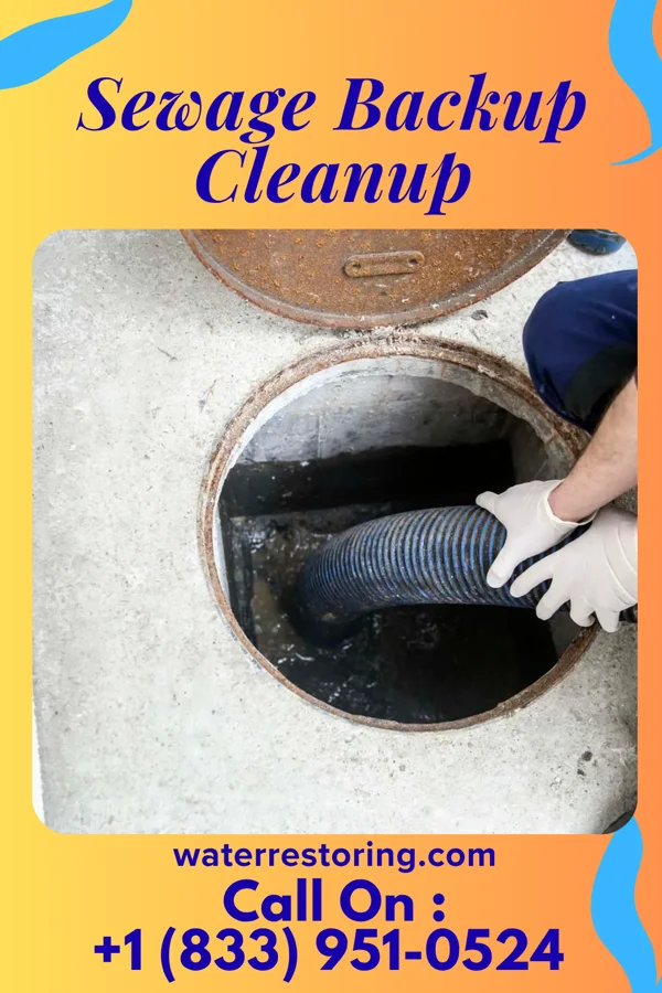 Sewage Backup Cleanup in Belleville, IL