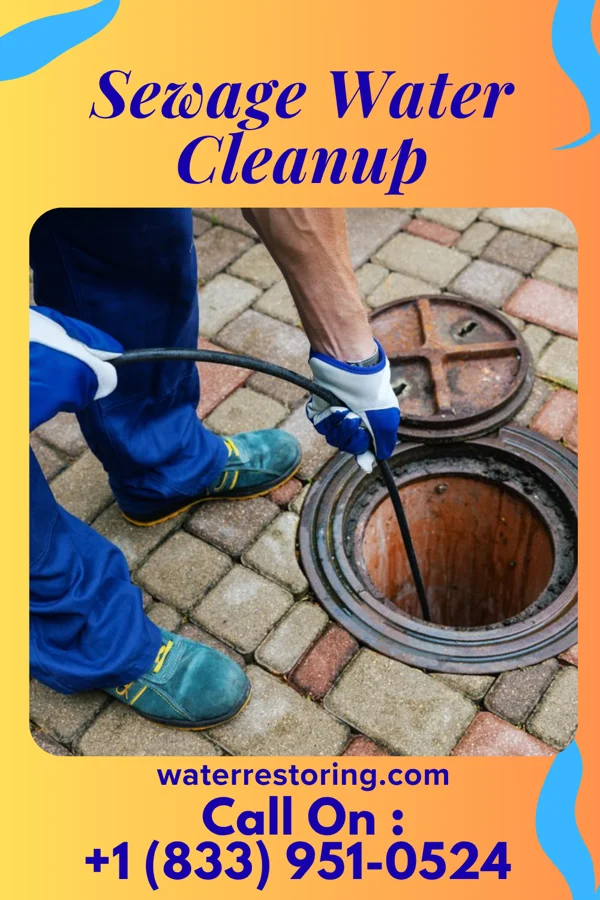 Sewage Water Cleanup in Belleville, IL